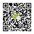datouwang.com